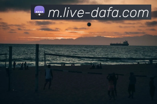 多媒体互动体验